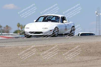 media/Oct-04-2025-OnGrid (Sat) [[44bd565ffa]]/Purple Group/Grapevine/